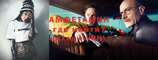 стаф Каменногорск
