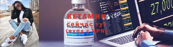 стаф Каменногорск