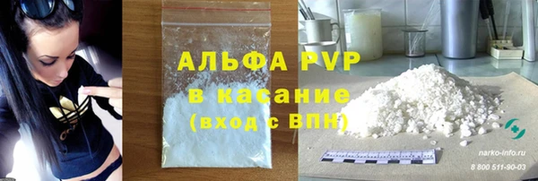 стаф Каменногорск