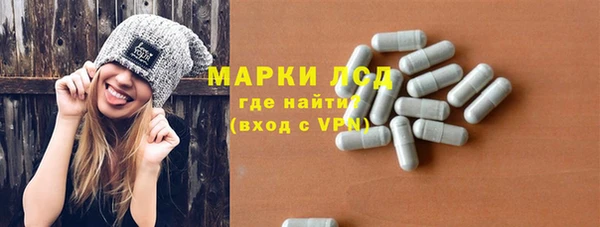 стаф Каменногорск