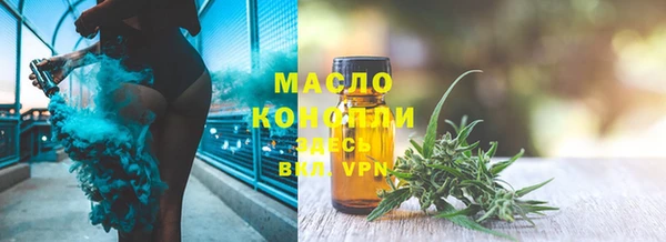 стаф Каменногорск