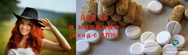 стаф Каменногорск