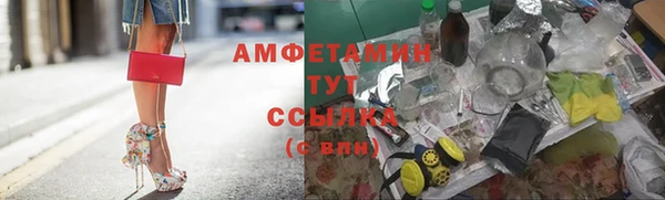 стаф Каменногорск