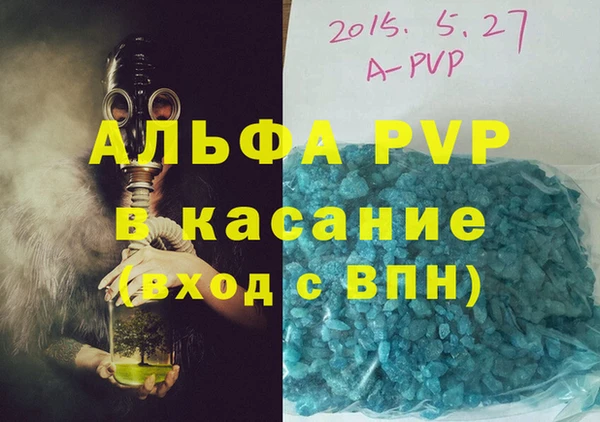 стаф Каменногорск